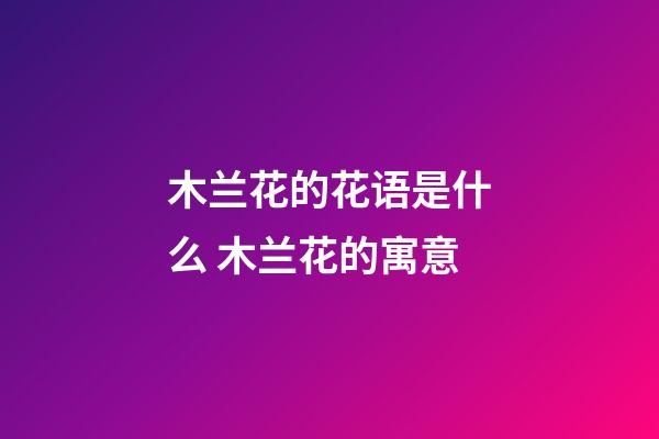 木兰花的花语是什么 木兰花的寓意